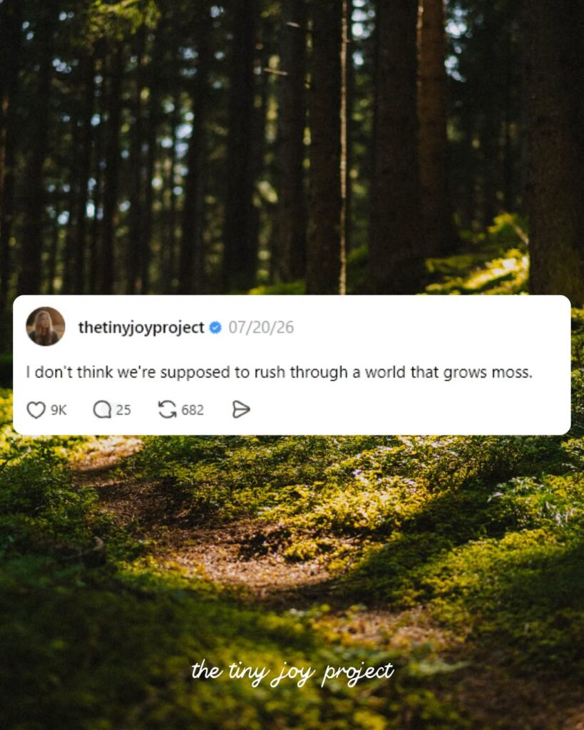 Moss moss